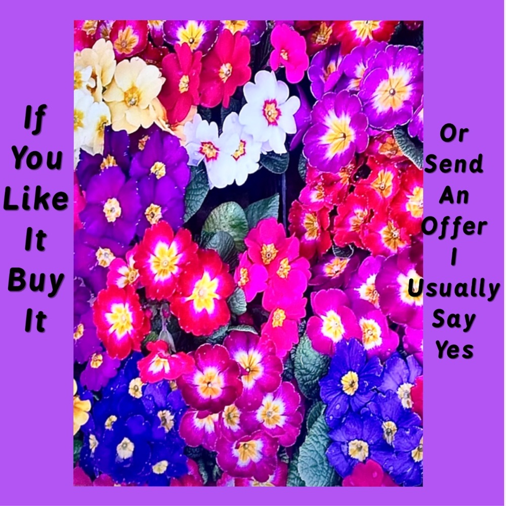 Make a Bundle. Pay 1 Shipping Fee - Picture 5 of 15